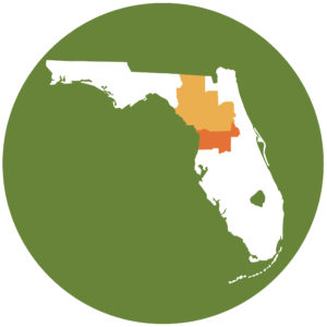 North and North Central Florida counties