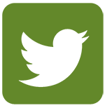 Follow Central Healhty Start on Twitter