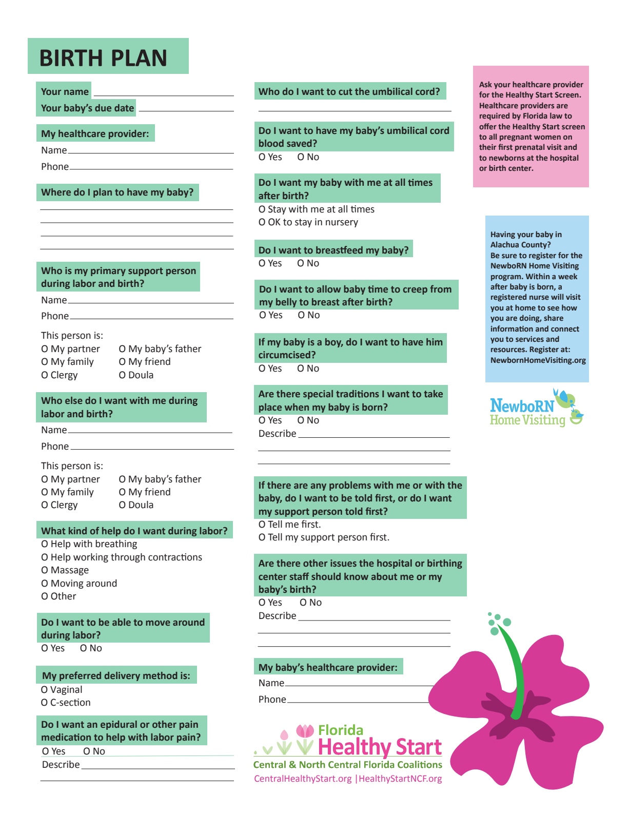Healthy Start birth plan template preview