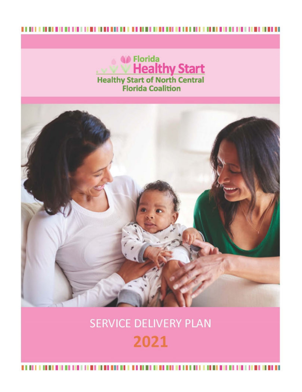 Healthy Start of North Central Florida Service Delivery Plan preview